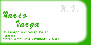 mario varga business card